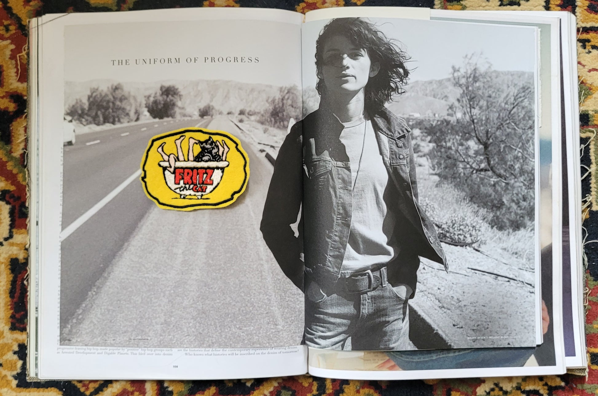 Patch Brodé  Fritz the cat in the bath - PUNK & COTON